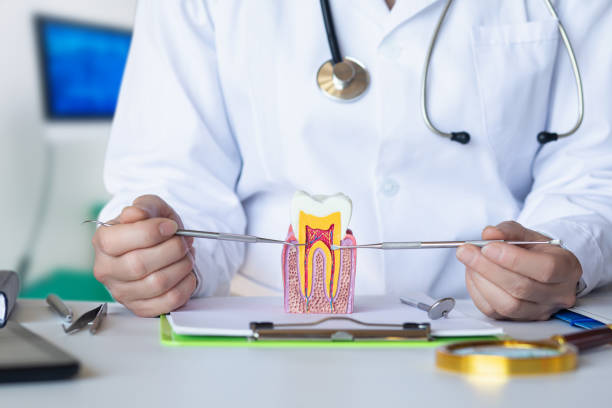 Best Same-Day Emergency Dentist in Lisbon, ND